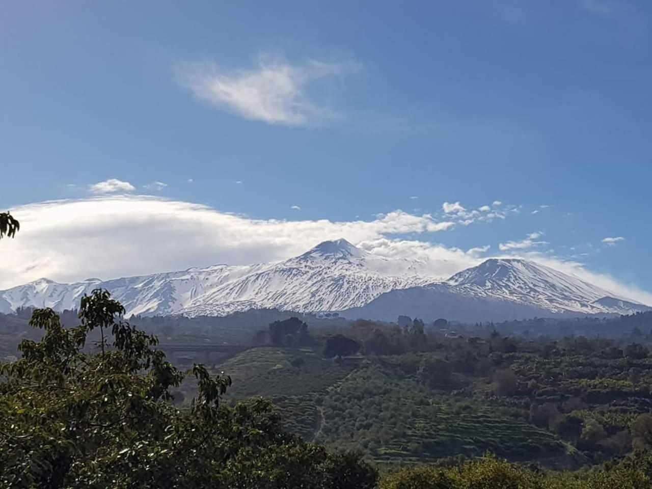 Etna Hotel Giarre Dış mekan fotoğraf